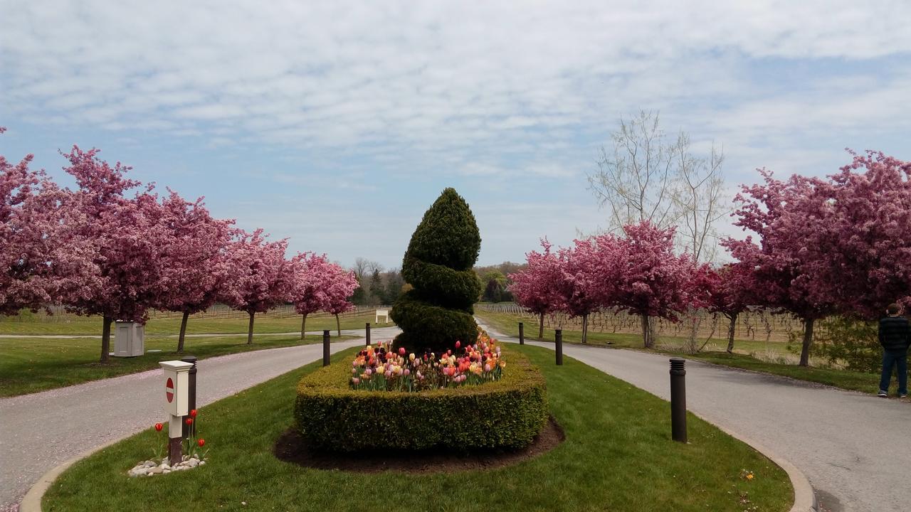 The White House Boutique B&B Niagara-on-the-Lake Dış mekan fotoğraf