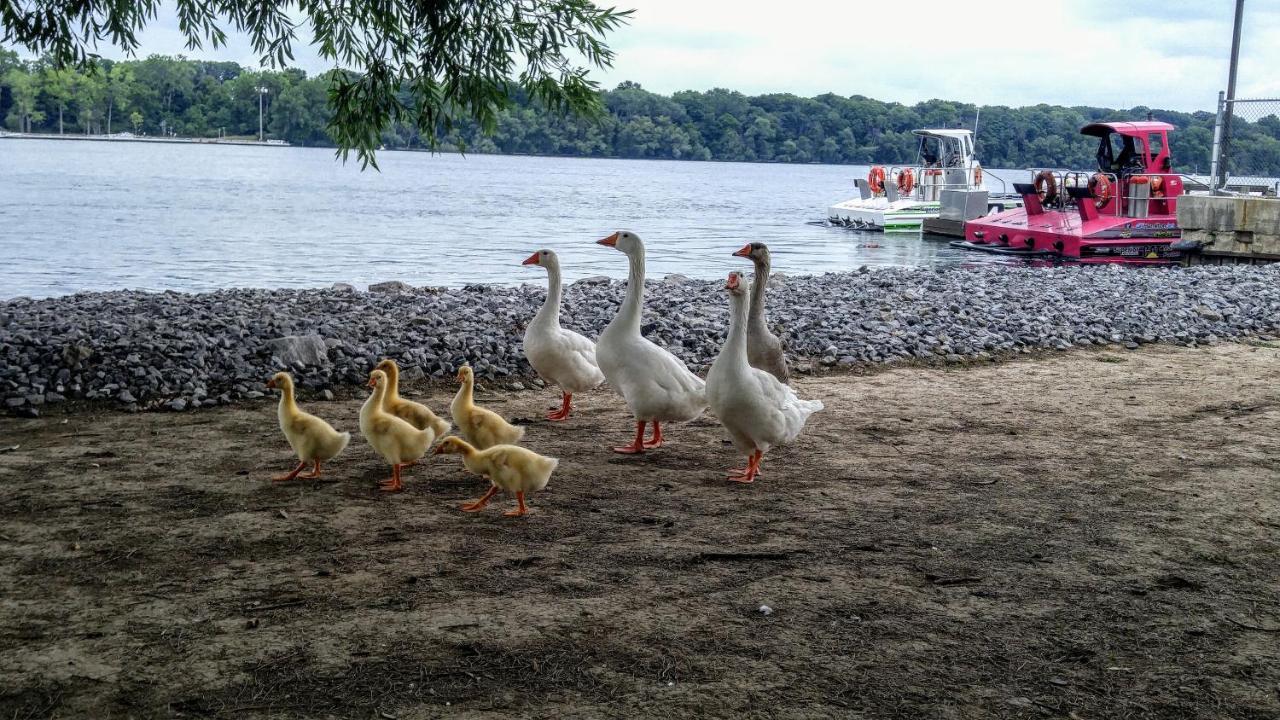 The White House Boutique B&B Niagara-on-the-Lake Dış mekan fotoğraf